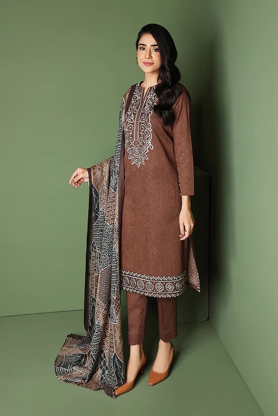 42206149-Printed Embroidered 3PC